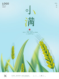 小满海报小麦背景素材图片