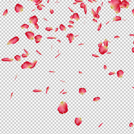 花瓣