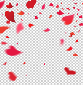 花瓣