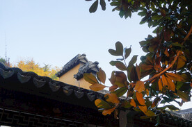 苏州北塔报恩寺