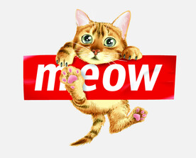 小猫
