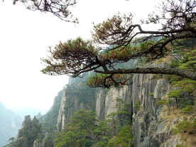 安徽黄山
