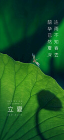 立夏节气海报