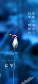 立夏节气海报