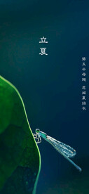 立夏节气海报