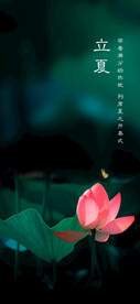 立夏节气海报