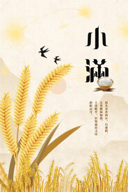 黄色小满节日海报简约大气