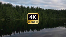 宣传片头素材树林上空飘过的云层