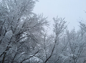 雪景