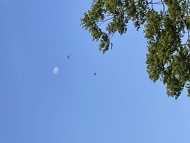 天空 月亮