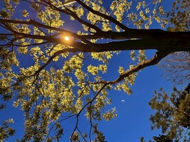 夜晚