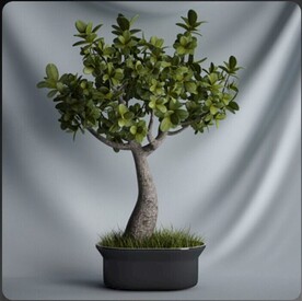 C4D模型盆栽绿色植物插花