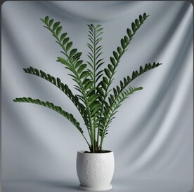 C4D模型盆栽绿色植物插花