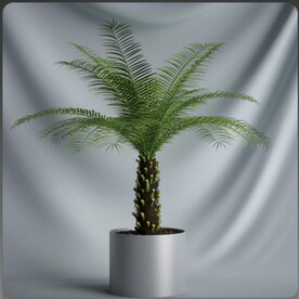 C4D模型盆栽绿色植物插花