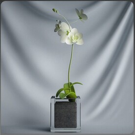 C4D模型盆栽绿色植物插花
