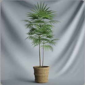 C4D模型盆栽绿色植物插花