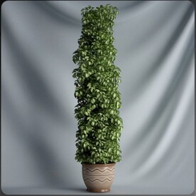 C4D模型盆栽绿色植物插花