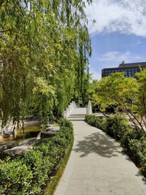 夏日园林小桥流水绿树成荫