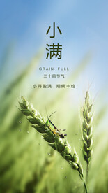 小满 二十四节气