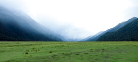 风景
