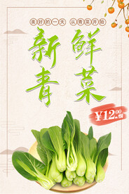 青菜