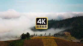 唯美风景山林间翻滚的云海