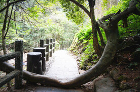 姑婆山