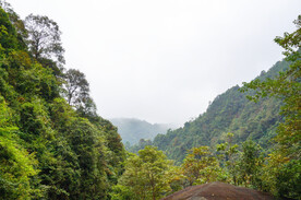 姑婆山