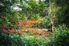姑婆山
