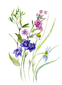 水彩花