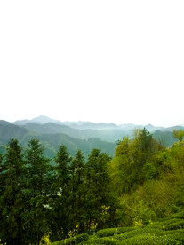 山