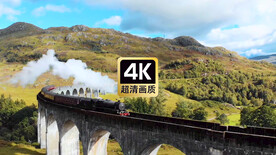 风景素材冒烟的火车高速经过大桥