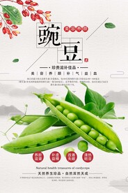 豌豆