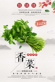 香菜