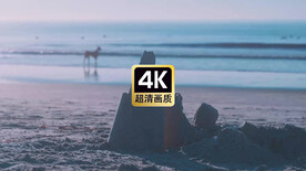 唯美海景素材傍晚海边散步的人