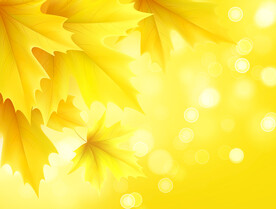 背景模板 展板背景      