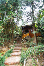姑婆山方家茶园