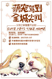 宠物之家促销活动海报素材