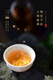 小满节气传统活动海报素材