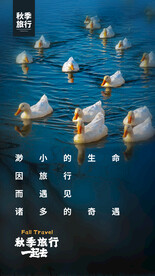 秋季旅行旅游活动宣传海报素材