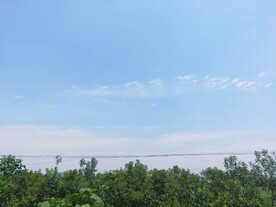 夏日晴空蓝天白云电线森林