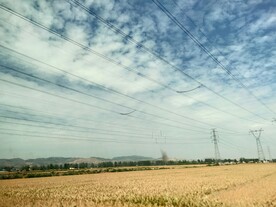 夏日晴空金色麦田乡村生活电线杆