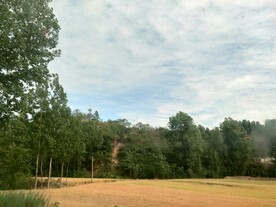 夏日晴空金色麦田乡村生活