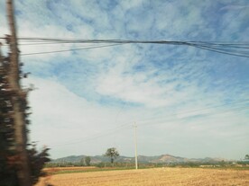 夏日晴空金色麦田乡村生活