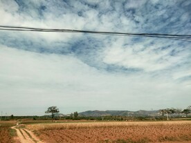 黄色土地金色麦田乡村生活蓝天