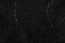 黑色纸纹理