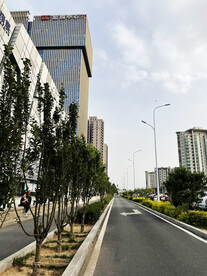 城市道路