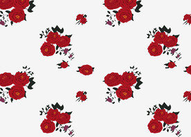 玫瑰花 手绘花