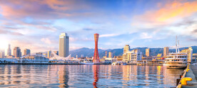 城市
