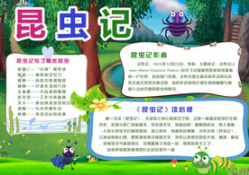 昆虫记手抄报